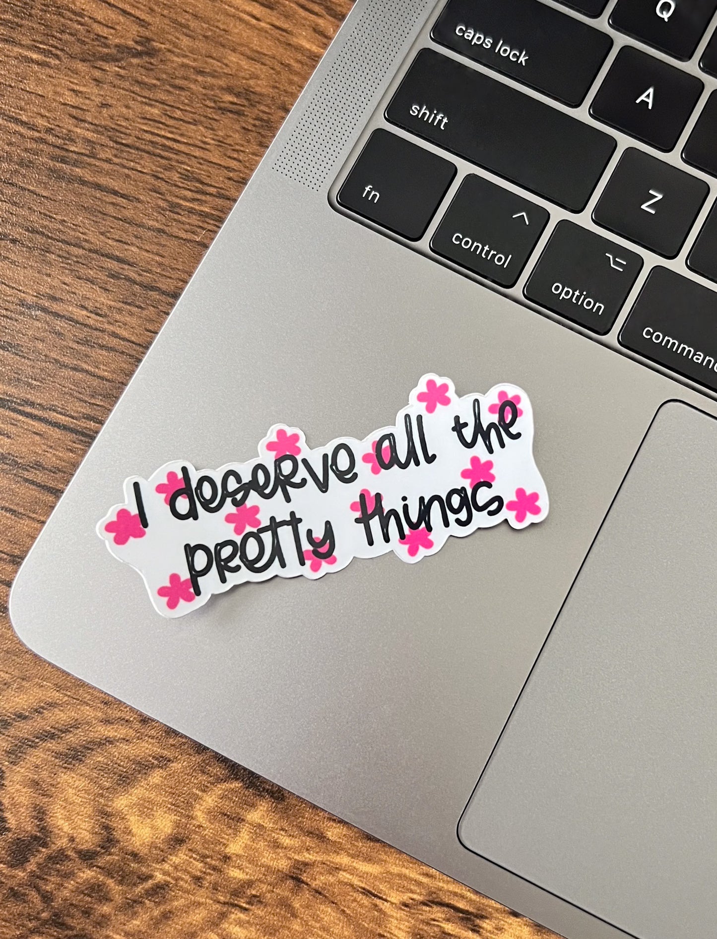 I deserve all the pretty things Sticker